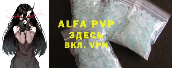 твердый Инта