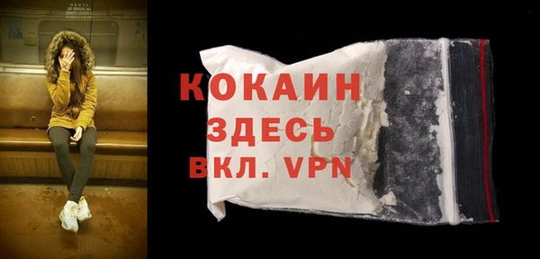 твердый Инта
