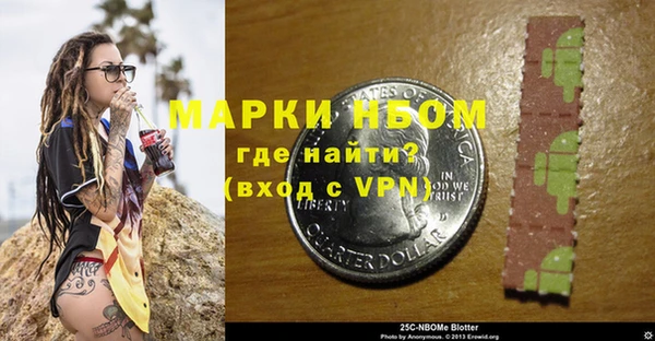 твердый Инта