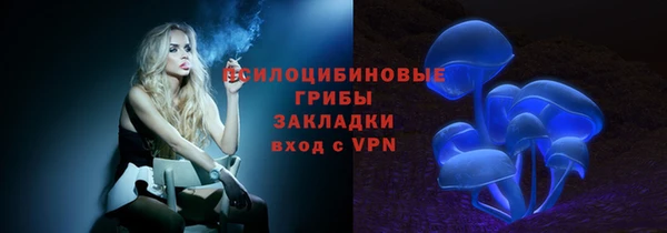 твердый Инта
