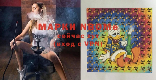 твердый Инта