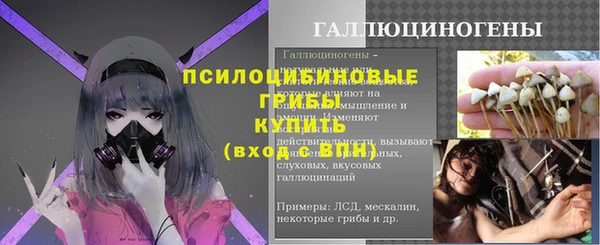 твердый Инта
